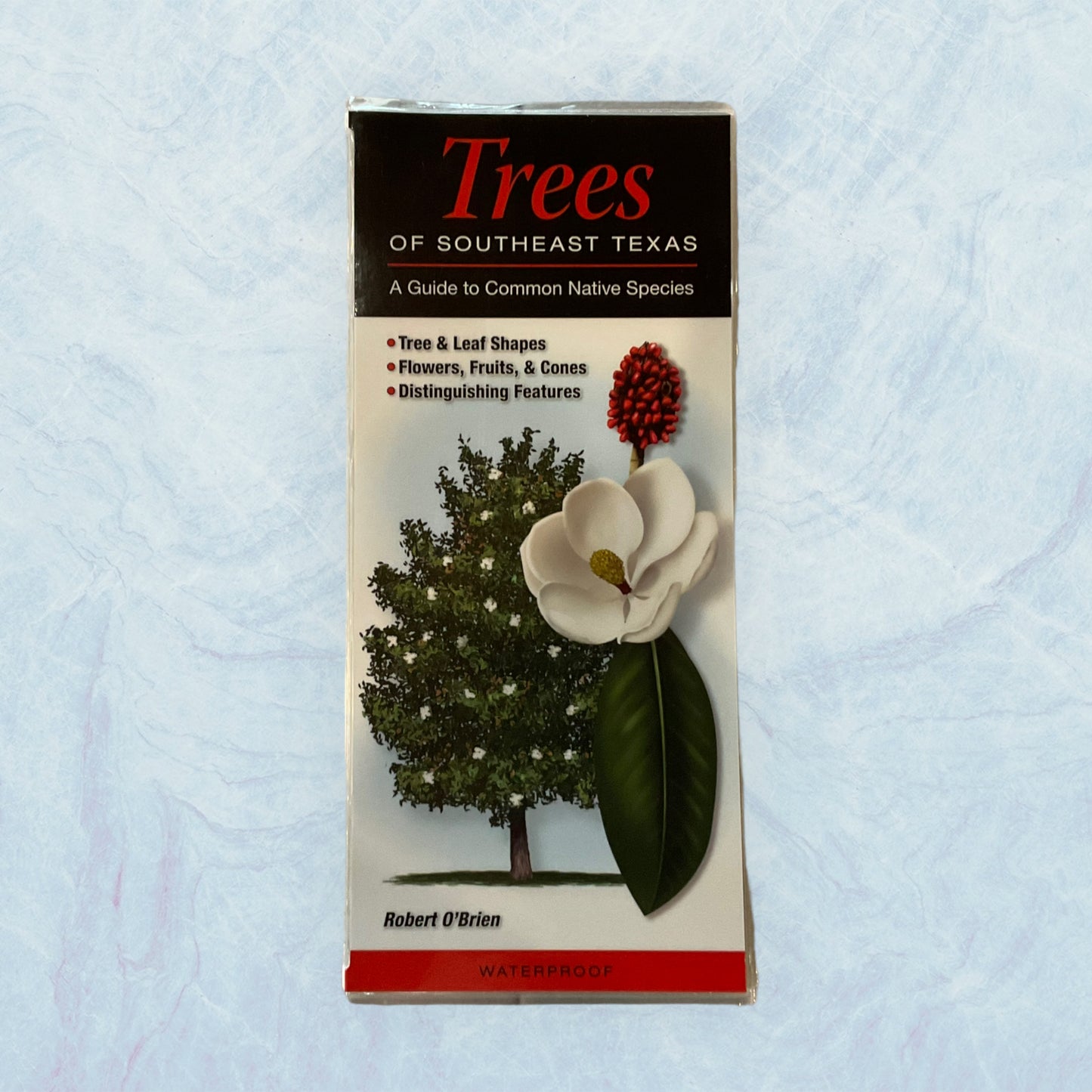 Guide - Trees of SETX