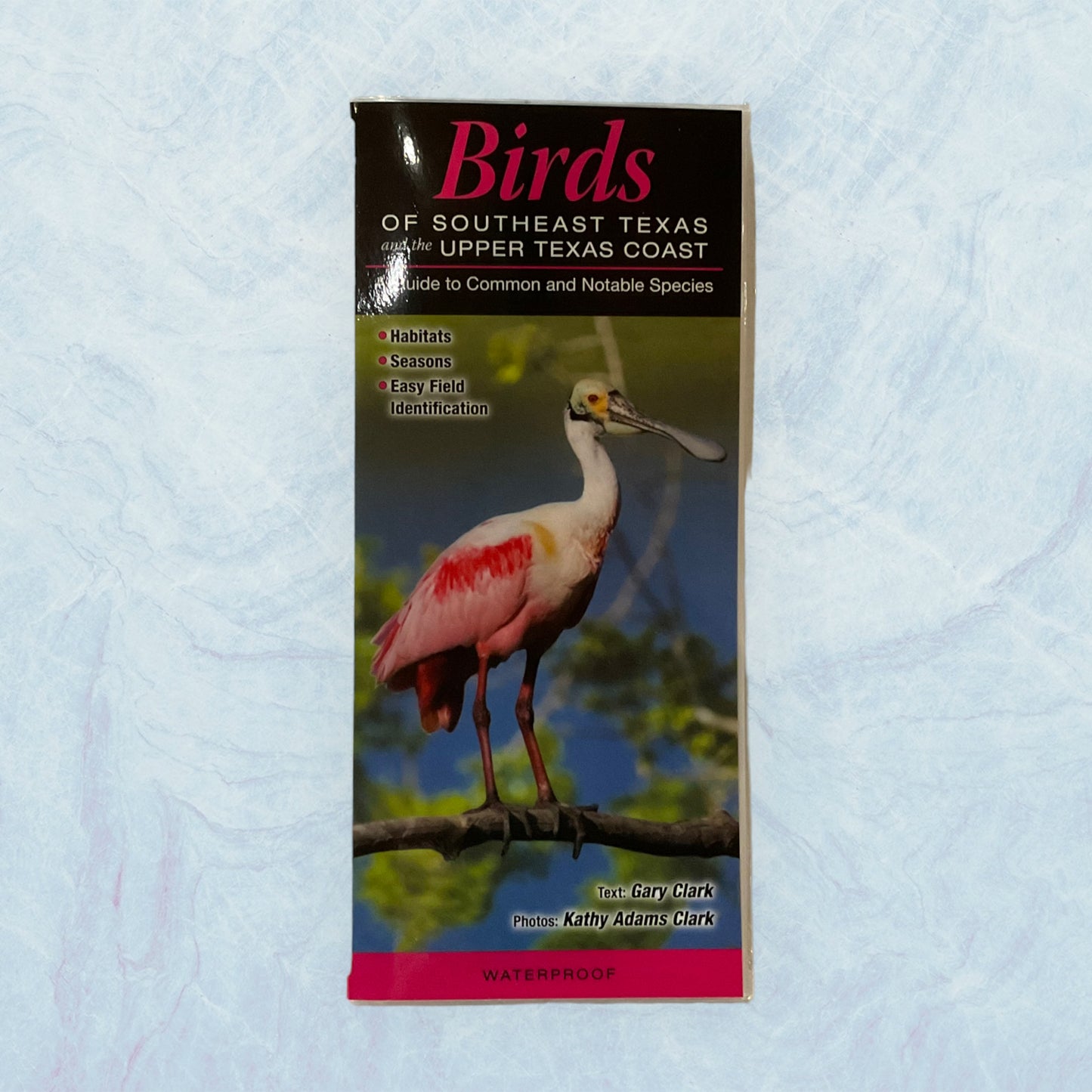 Guide - Birds of SETX