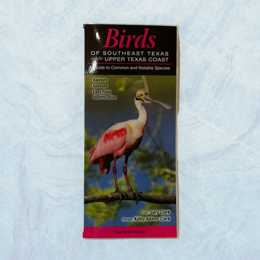 Guide - Birds of SETX