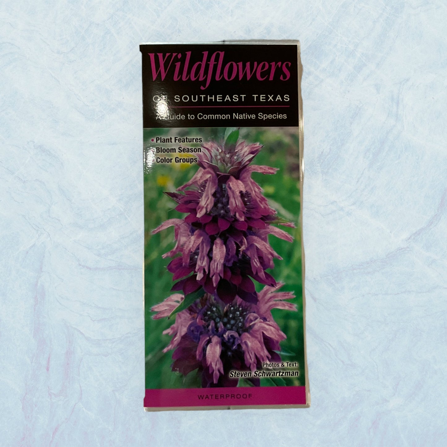 Guide - Wildflowers of SETX