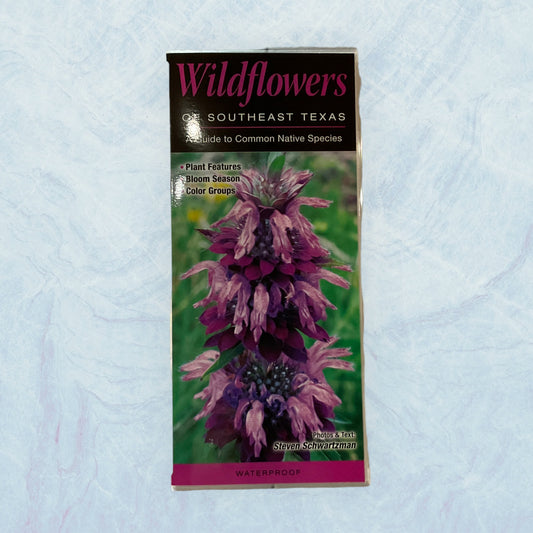 Guide - Wildflowers of SETX