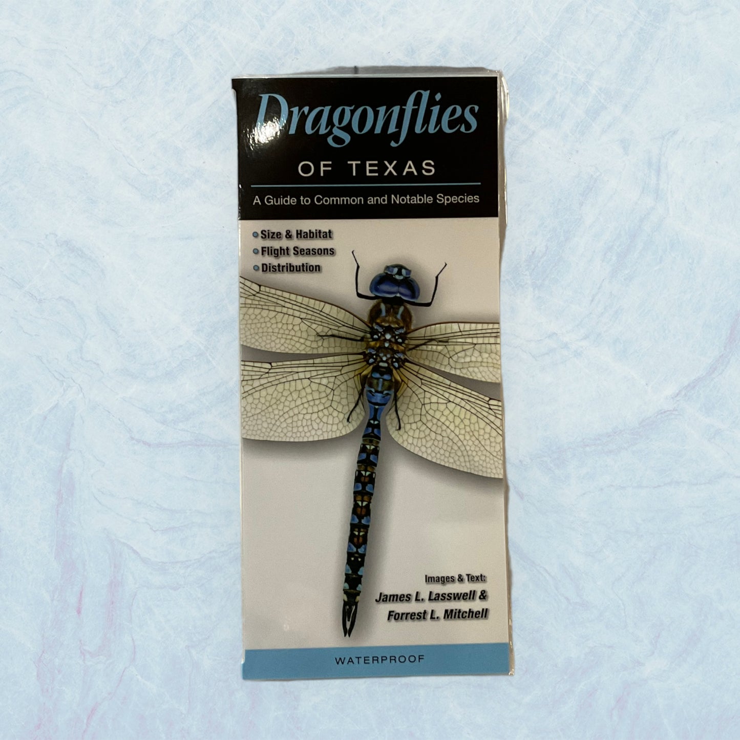 Guide - Dragonflies of Texas