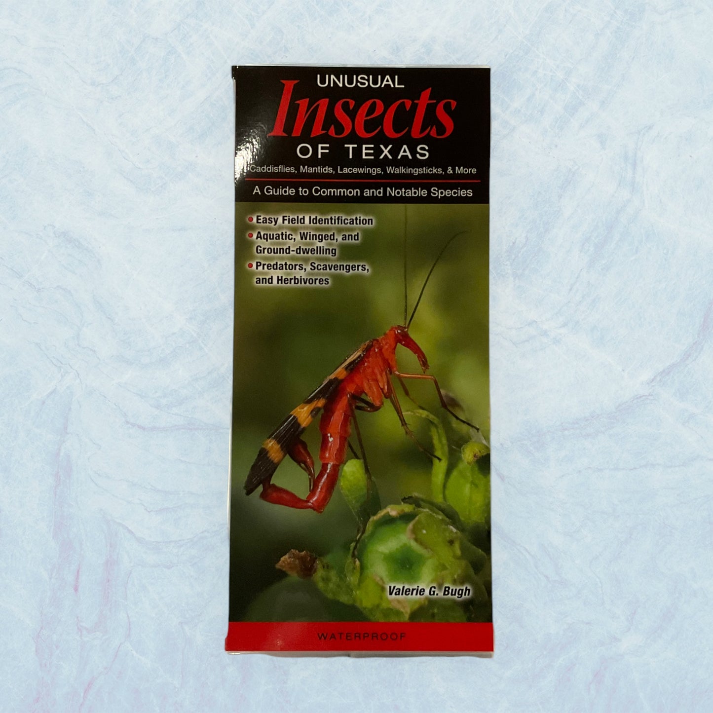 Guide - Insects of Texas