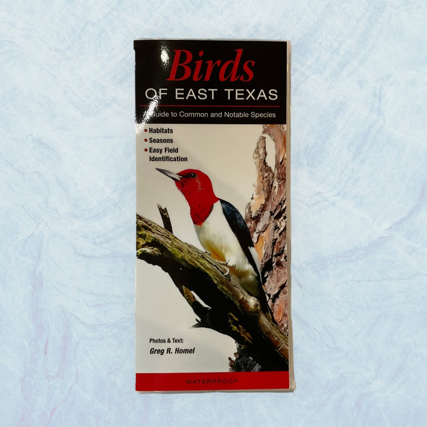 Guide - Birds of East Texas