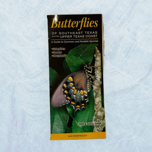Guide - Butterflies of SETX