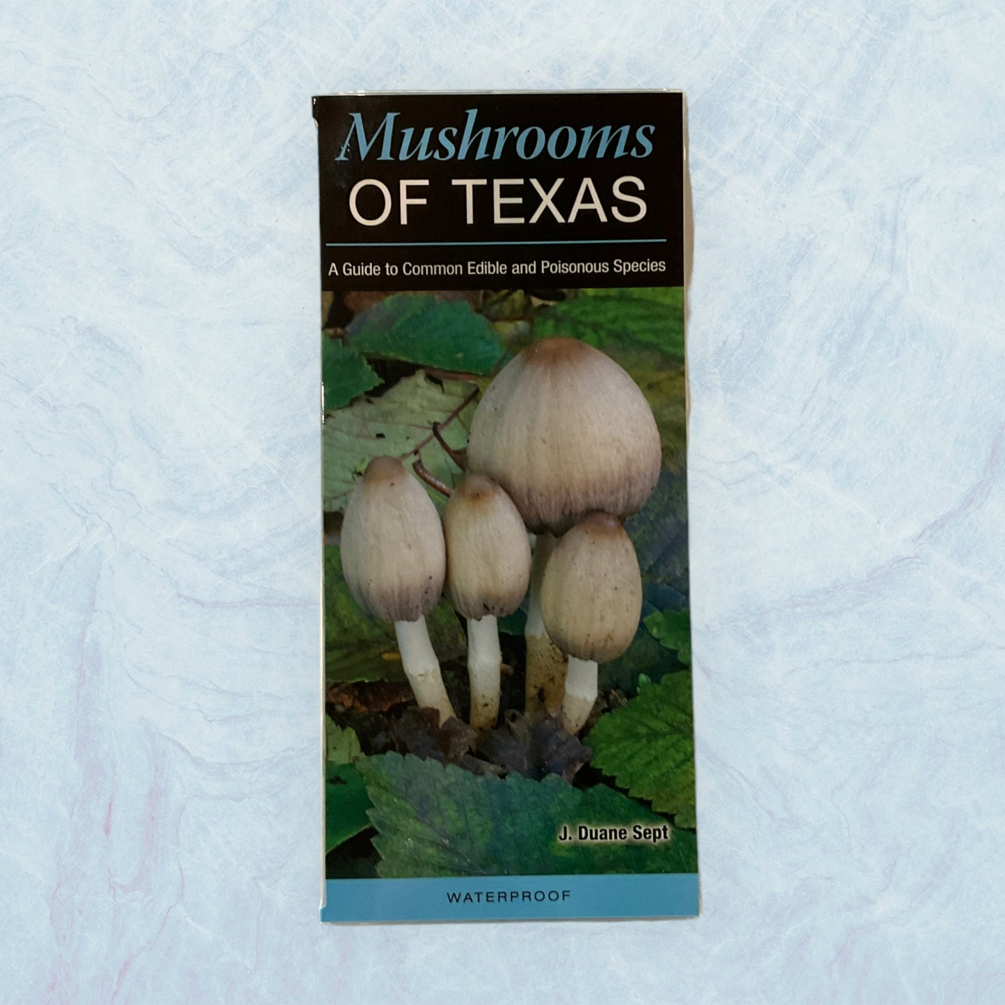 Guide- Mushrooms of Texas