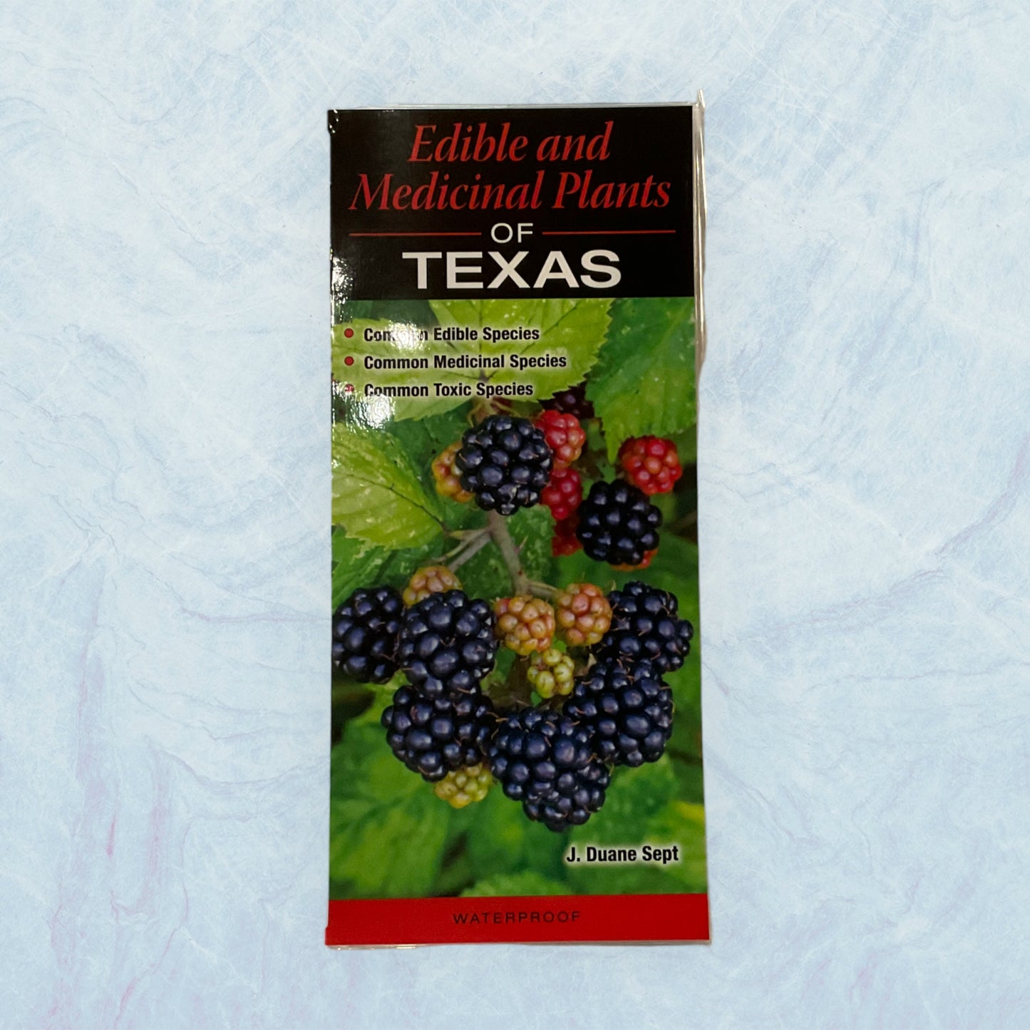 Guide - Edible and Medicinal Plants of Texas