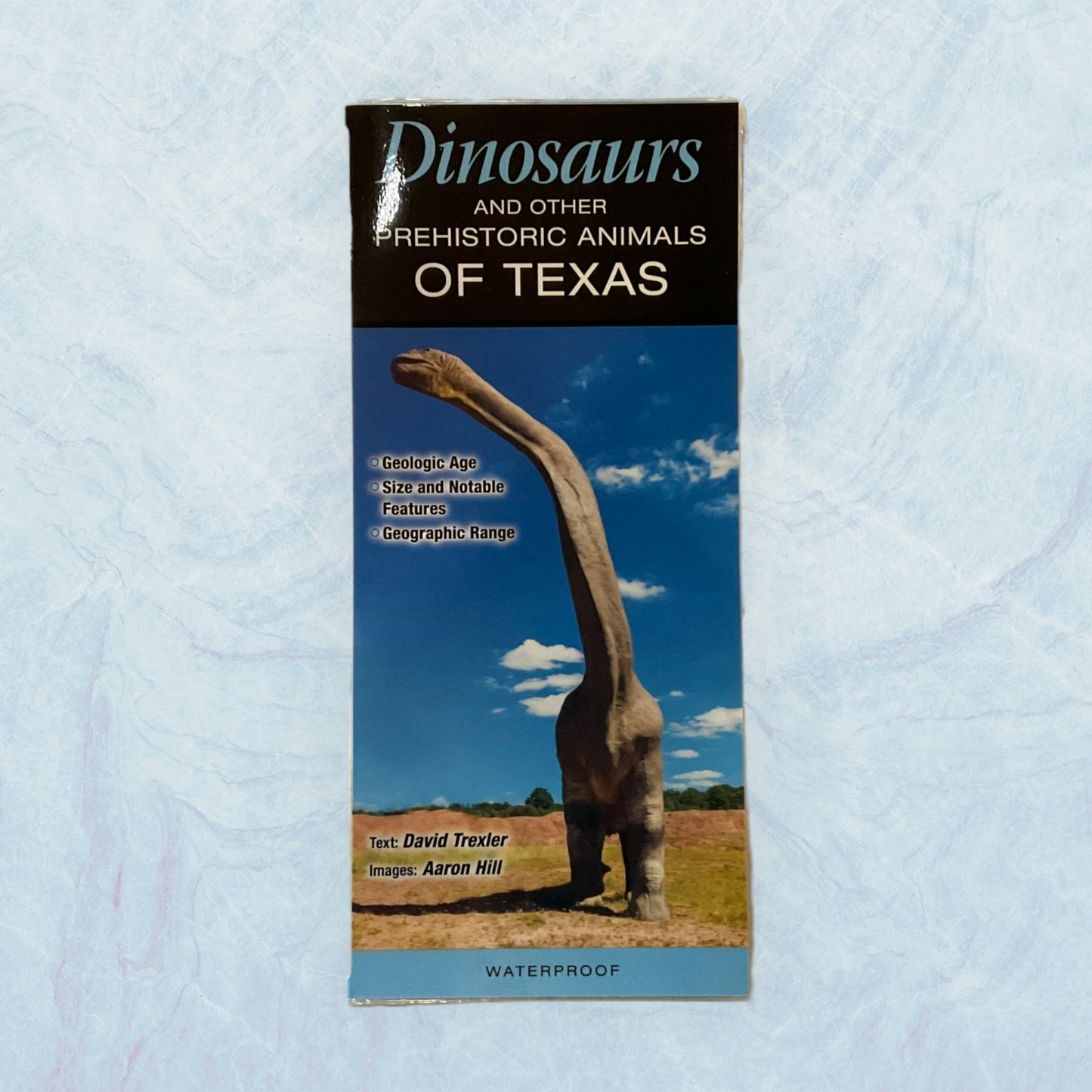 Guide - Dinosaurs of Texas